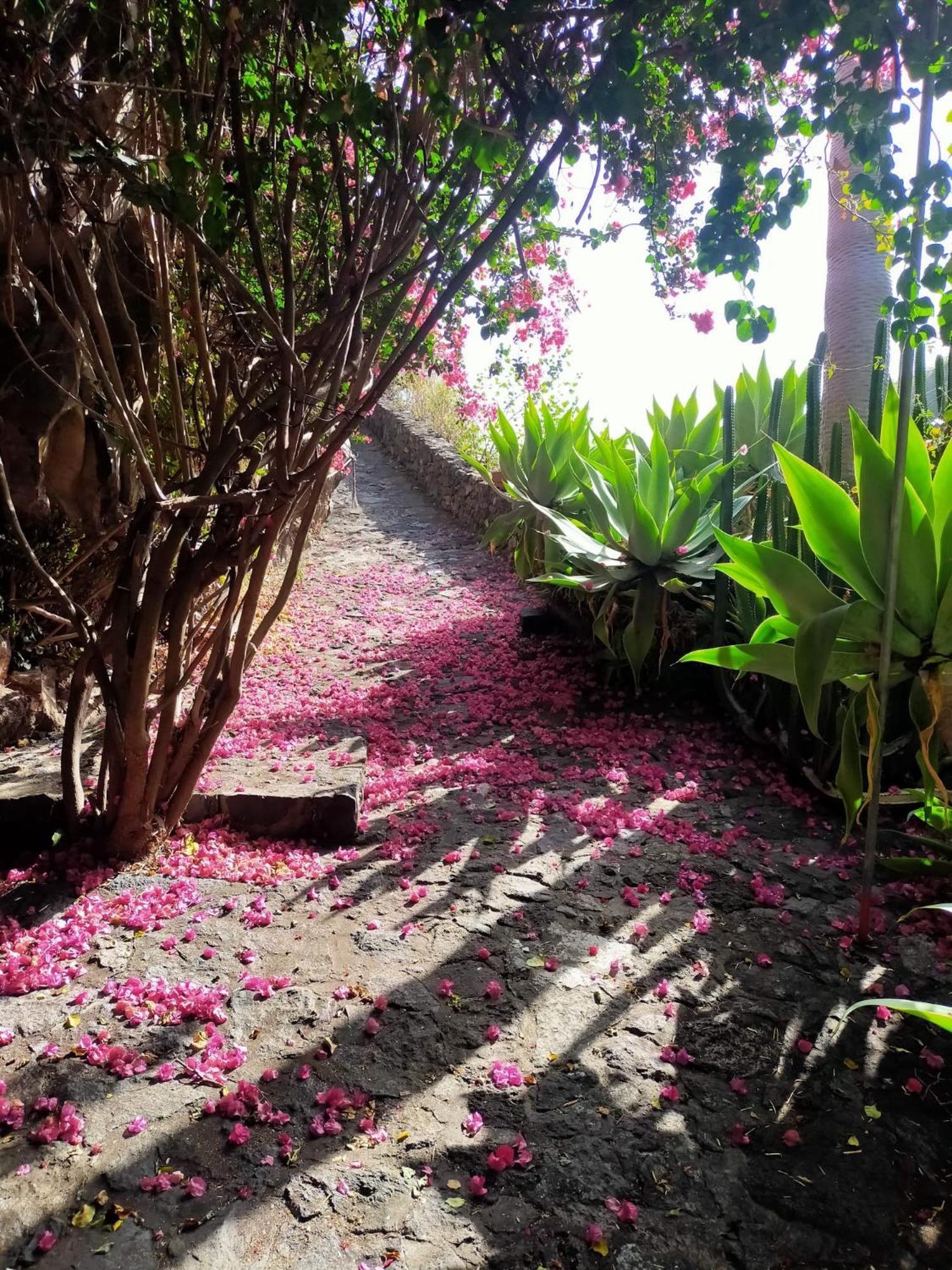 Molino Remanente Leilighet Santa Cruz de la Palma  Eksteriør bilde